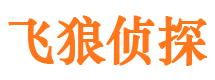 博野外遇调查取证